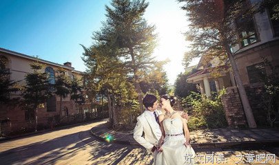 关于蜜的句子
