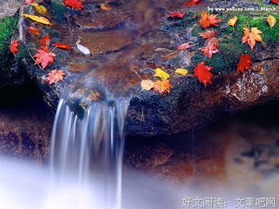 最新的《一生一世》经典语录