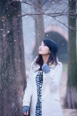送给老同学