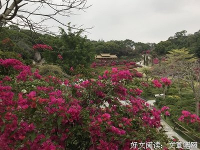 2018下半年最走红的一段话！（经典）