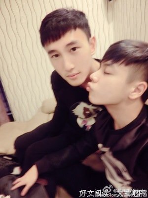 《杂》的句子