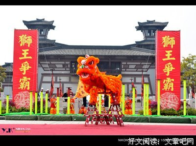 关于狮王的名句摘抄