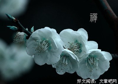关于惊慌的座右铭