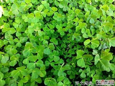 菜农笔记经典读后感10篇