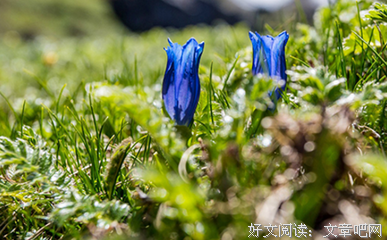 去他的脆弱！你其实比谁都坚强。