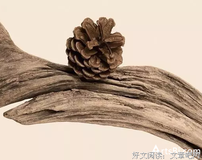 马德‖生活是自己成全的