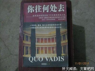 《你往何处去》读后感10篇