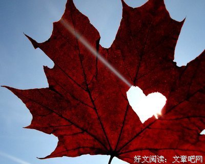 关于愛的句子