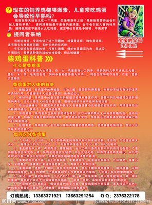 柴鸡蛋优美的句子