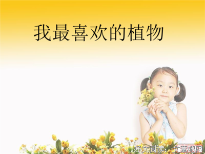 描写玉洁的经典句子