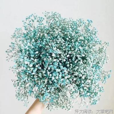 除非自己行,靠谁都没用