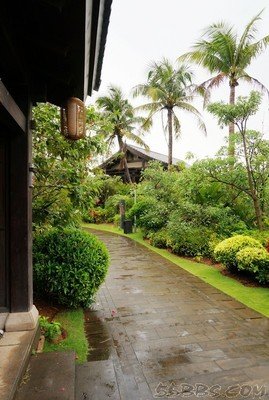 《变身》观后感精选10篇