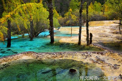 旧日红读后感10篇