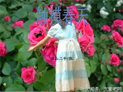 《春，夏，然后是冬》读后感10篇