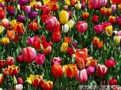 今天8月最后1天，送给群里的每一位朋友（谁打开，谁幸福）