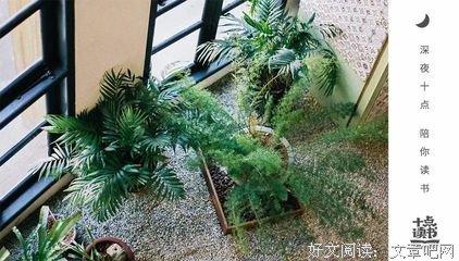 见过汪涵，才知道什么叫真正的会说话