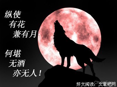 再任去上都句子