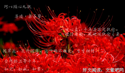 有关执的句子