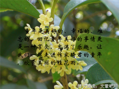 有关四上的句子