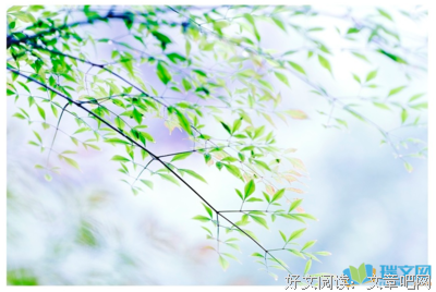 得了蚕土豆句子