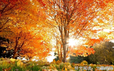 关于历历在目的语句