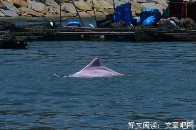 三生有幸格言警句