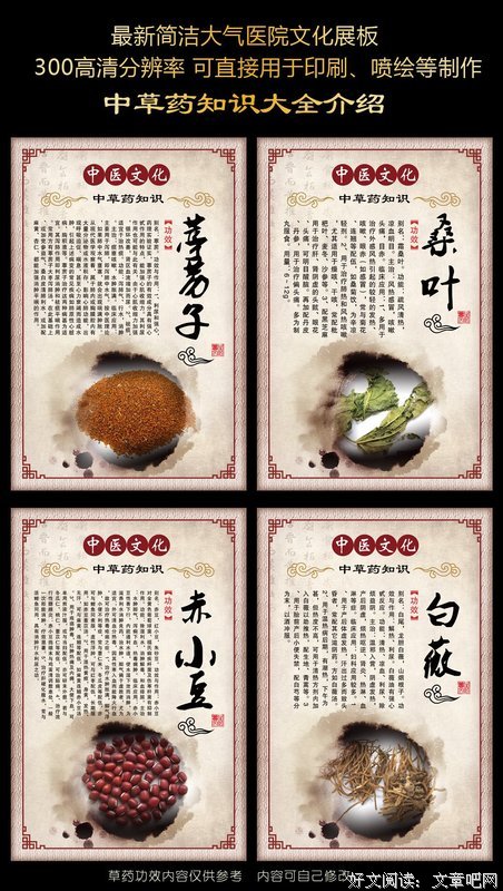 描写白薇的经典句子
