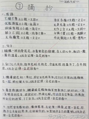 最新的《半暖时光》语录摘抄