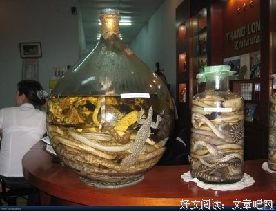 南方邮航经典读后感10篇