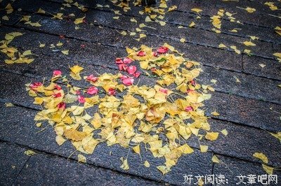 九月：许你一个秋天！