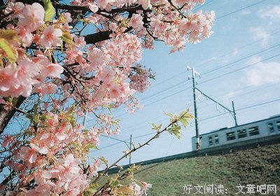 关于致成道人物过当爱的.的优美句子