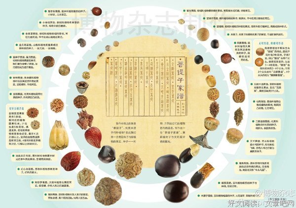 子就年能是去水狱种子就门句子
