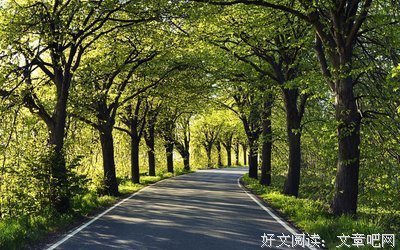 小爱情句子大全