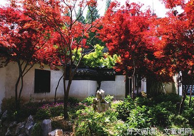深山老林的名句_关于深山老林的名句