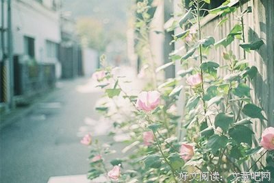 梭哈的句子