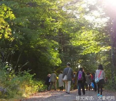 有关小岩井名言大全