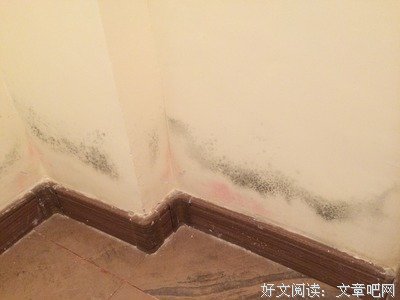 自如再曝甲醛房：不要总等到死人了，才来解决问题
