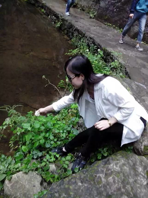 林徽因全集的读后感10篇