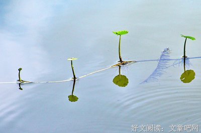 极简生活，才是一个人的高配