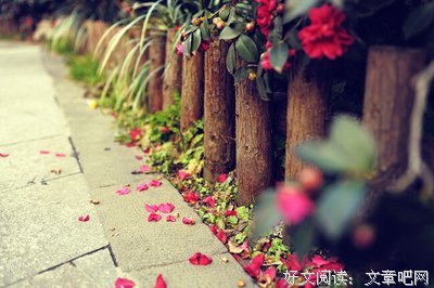 关于爱过你样地值得的句子