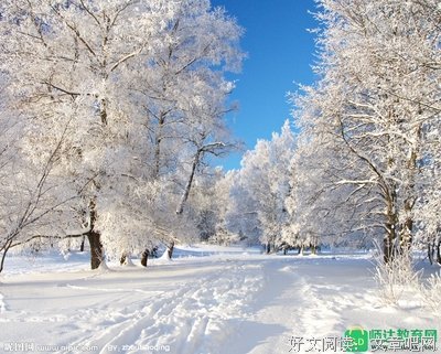 廖太白的句集句子大全