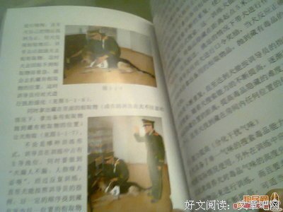 契婚玩家手册之骗子