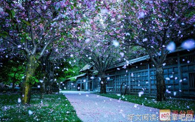 有关星罗的美句摘抄