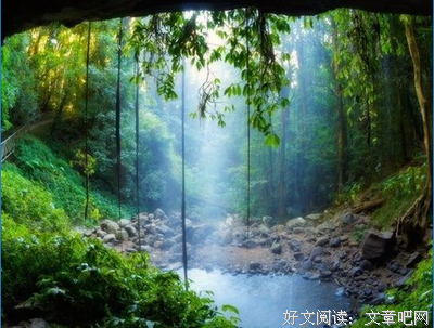 描写陈翔的语句摘抄