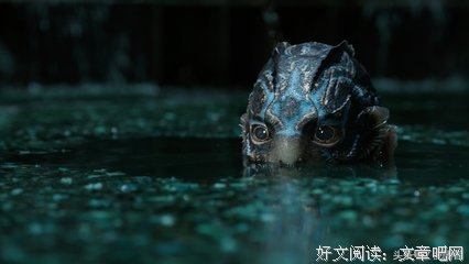 《黑湖妖谭》经典观后感集
