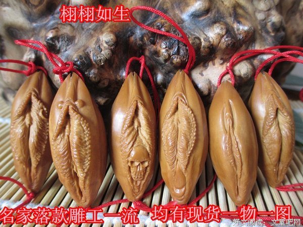 《生命的脸》读后感精选10篇