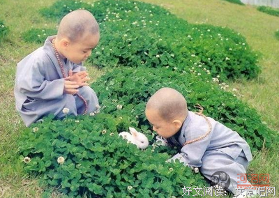 《六道众生》读后感10篇