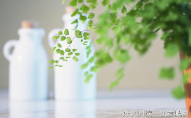 宽容读后感10篇