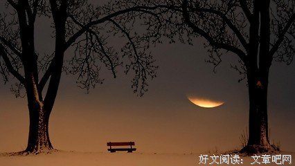 合群，是庸俗的开始