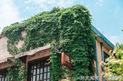古韵悠扬丨长向山林天性韧，也卧高檐非市隐（上）